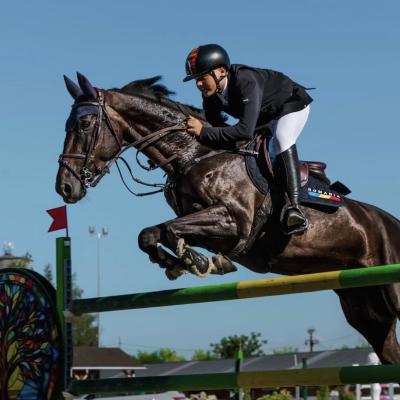 CE POVESTE! A ajuns campion ... din întâmplare!