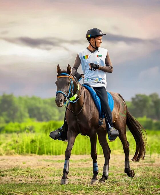 Mihai Popescu și calul Vizir, in concurs chiar la Buftea - FOTO Facebook