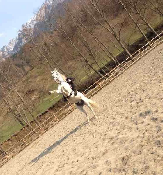 Octavian Ciovică la lecțiile de călărie